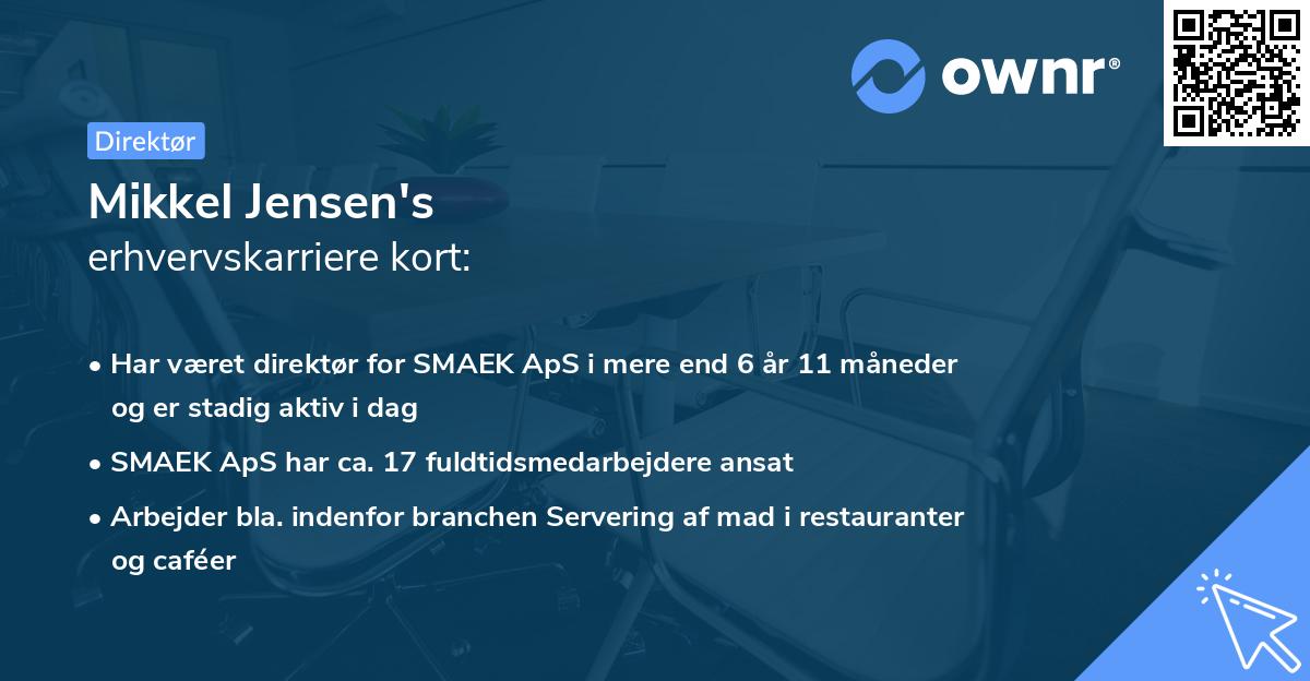 Mikkel Jensen's erhvervskarriere kort