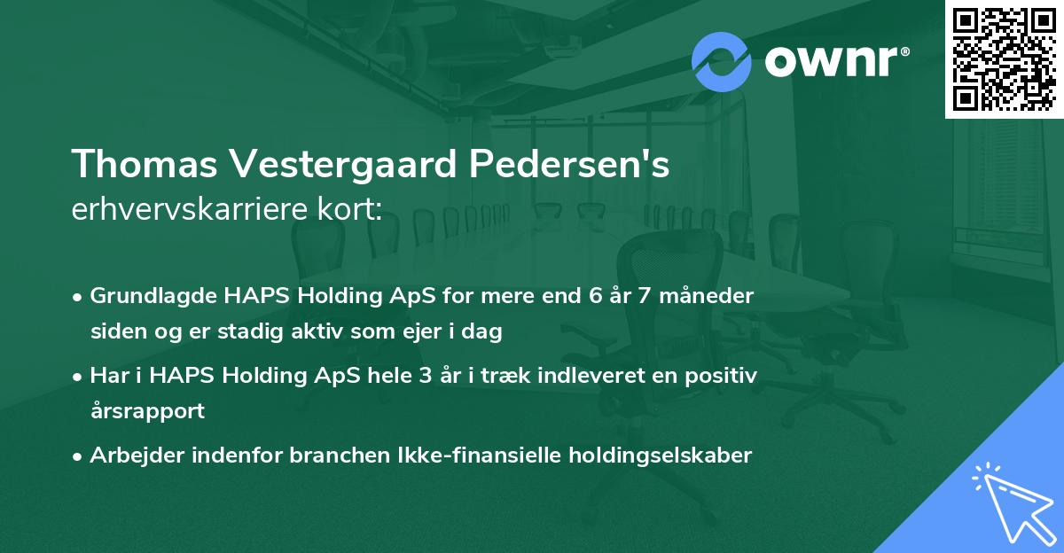 Thomas Vestergaard Pedersen's erhvervskarriere kort