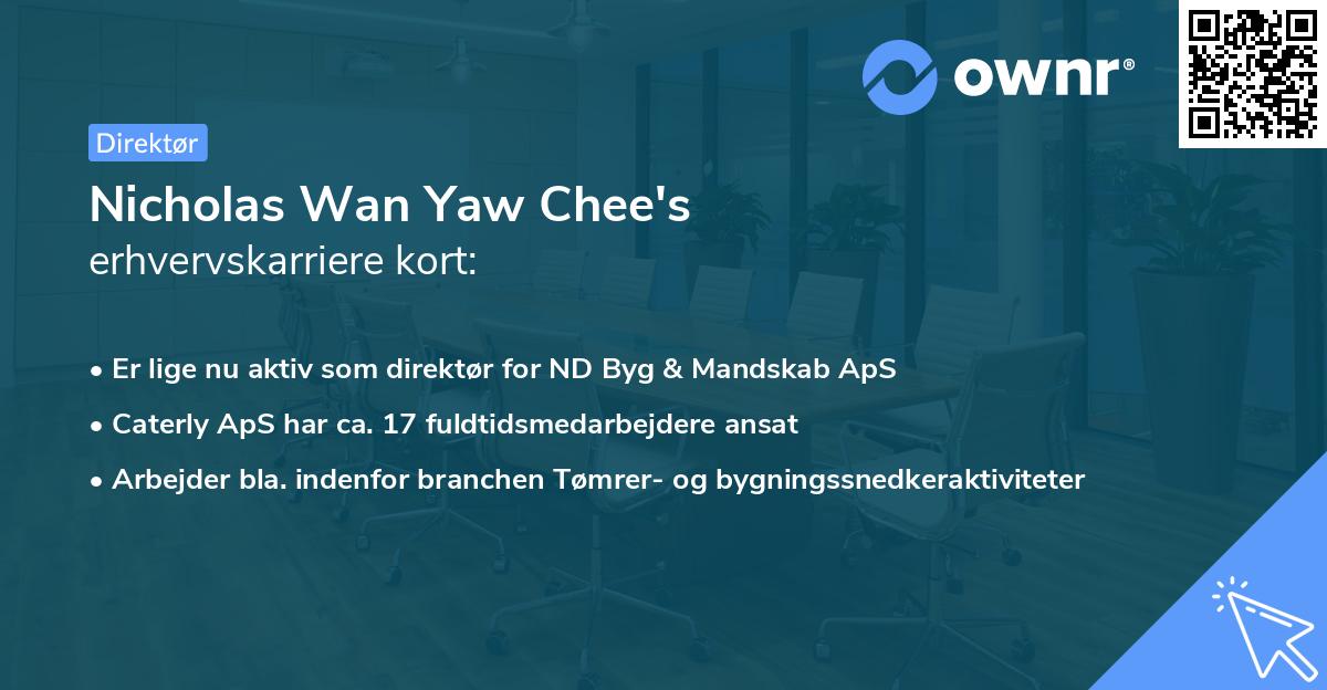 Nicholas Wan Yaw Chee's erhvervskarriere kort