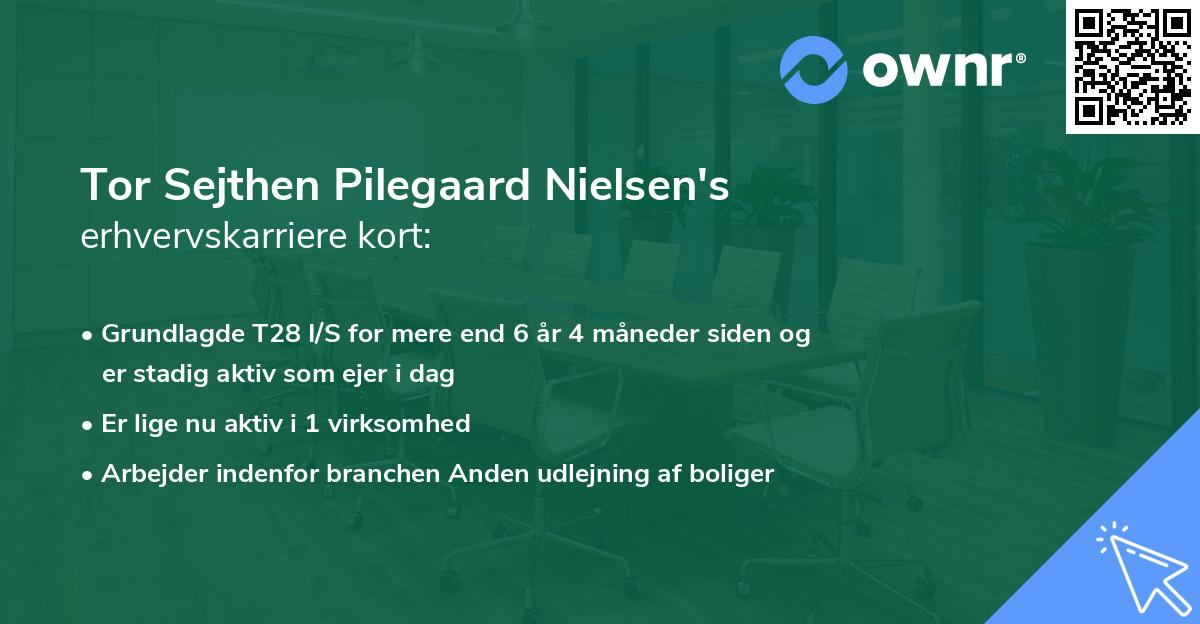 Tor Sejthen Pilegaard Nielsen's erhvervskarriere kort