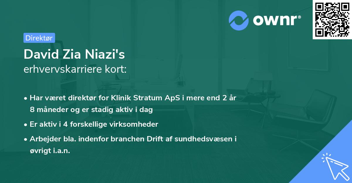 David Zia Niazi's erhvervskarriere kort