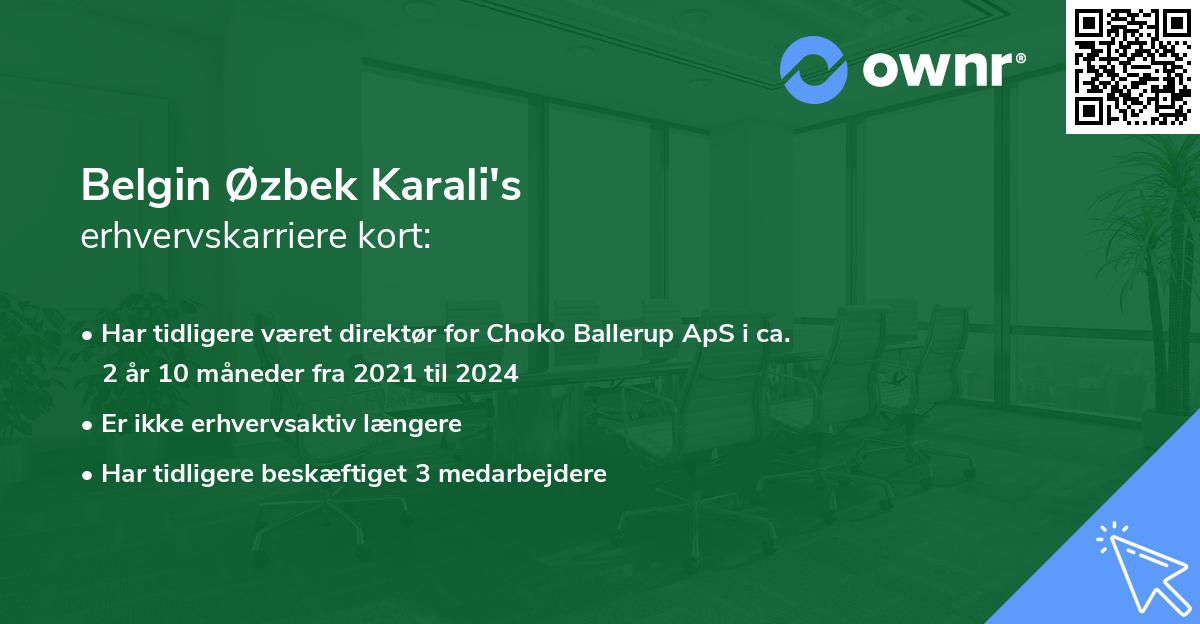 Belgin Øzbek Karali's erhvervskarriere kort