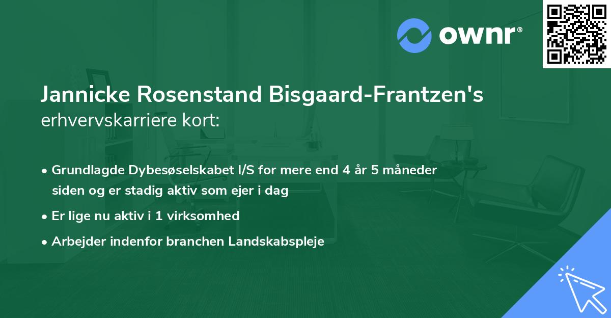 Jannicke Rosenstand Bisgaard-Frantzen's erhvervskarriere kort