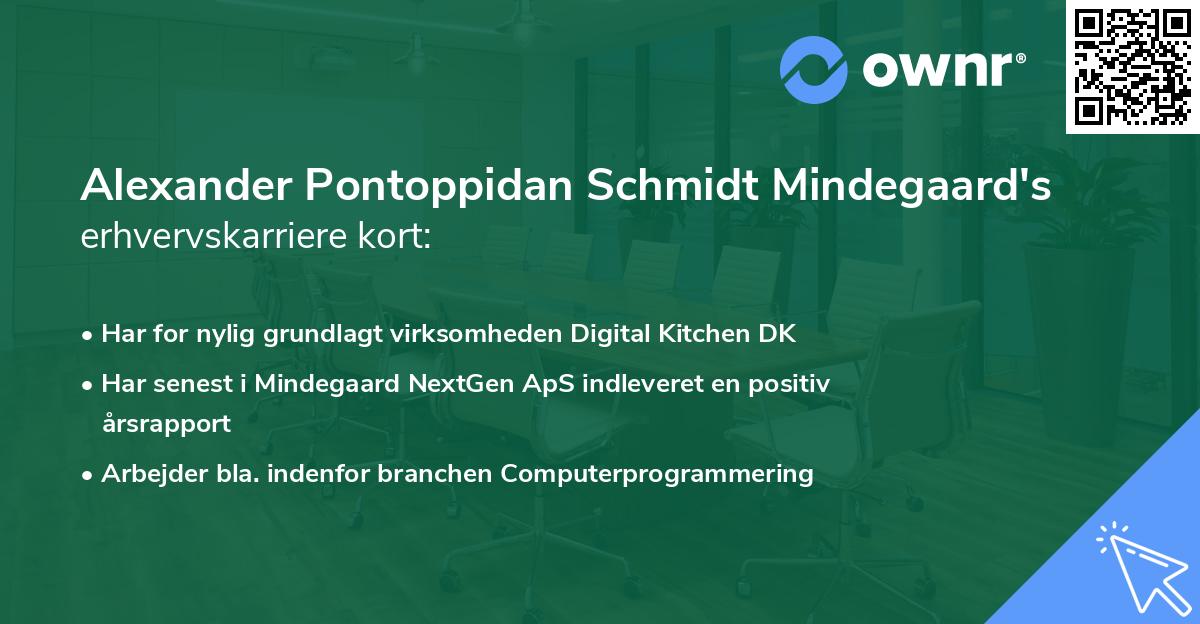 Alexander Pontoppidan Schmidt Mindegaard's erhvervskarriere kort