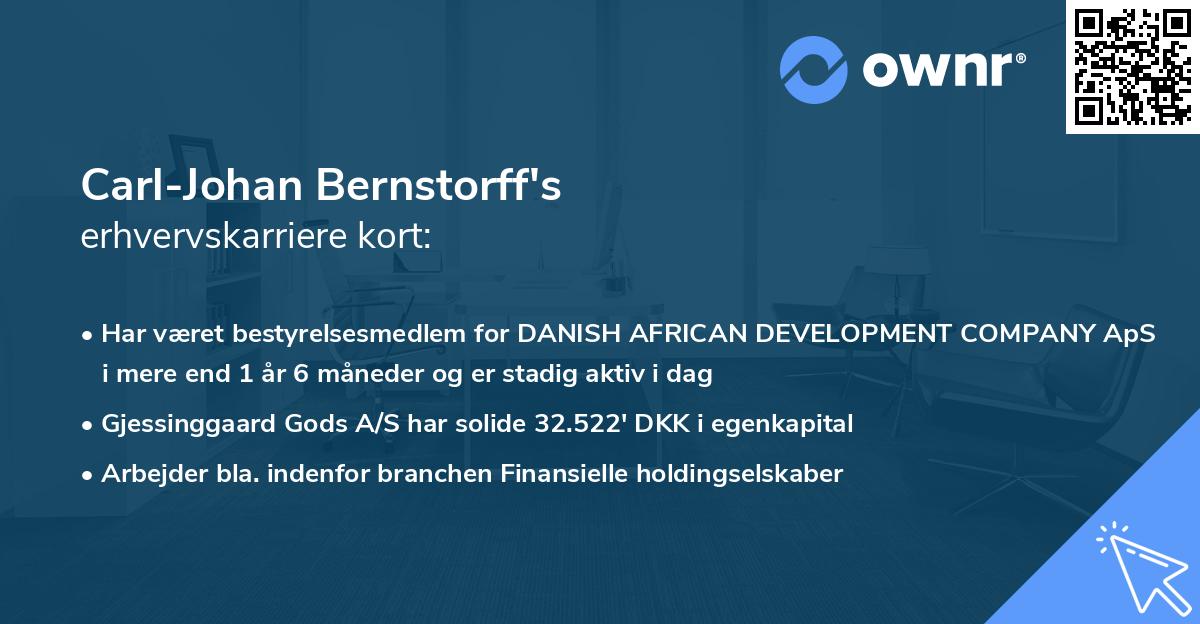 Carl-Johan Bernstorff's erhvervskarriere kort