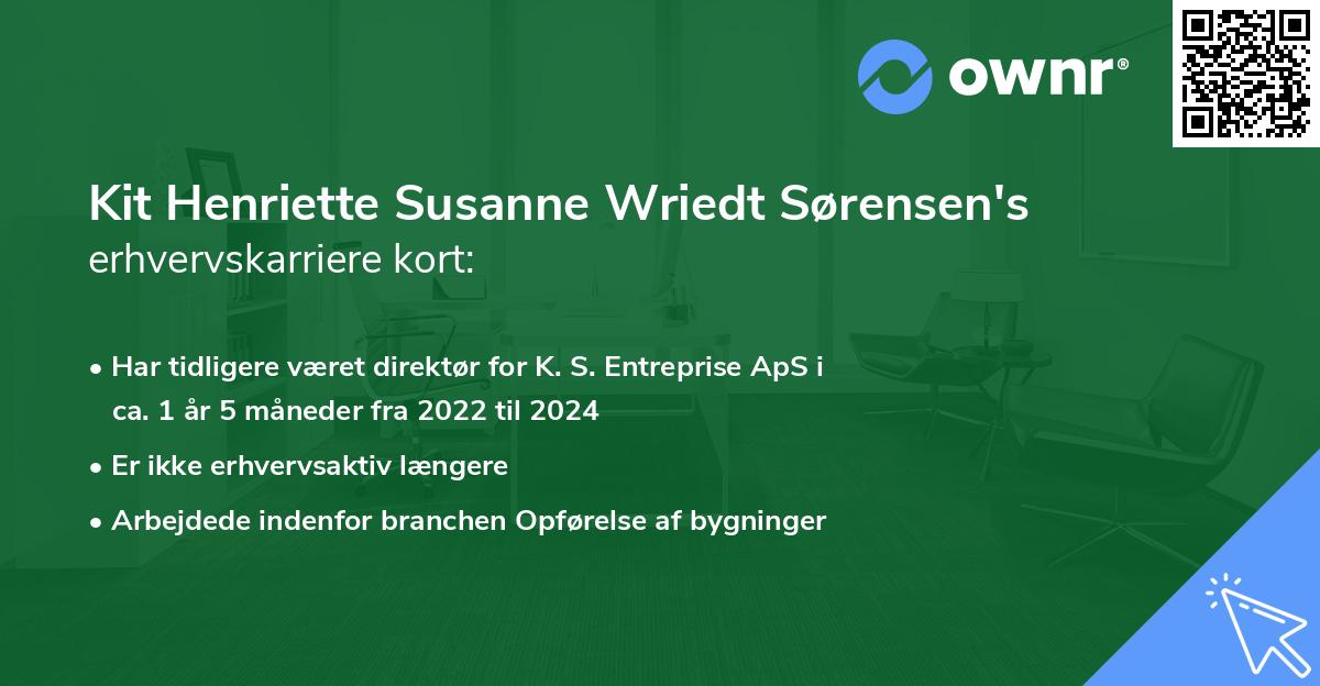 Kit Henriette Susanne Wriedt Sørensen's erhvervskarriere kort
