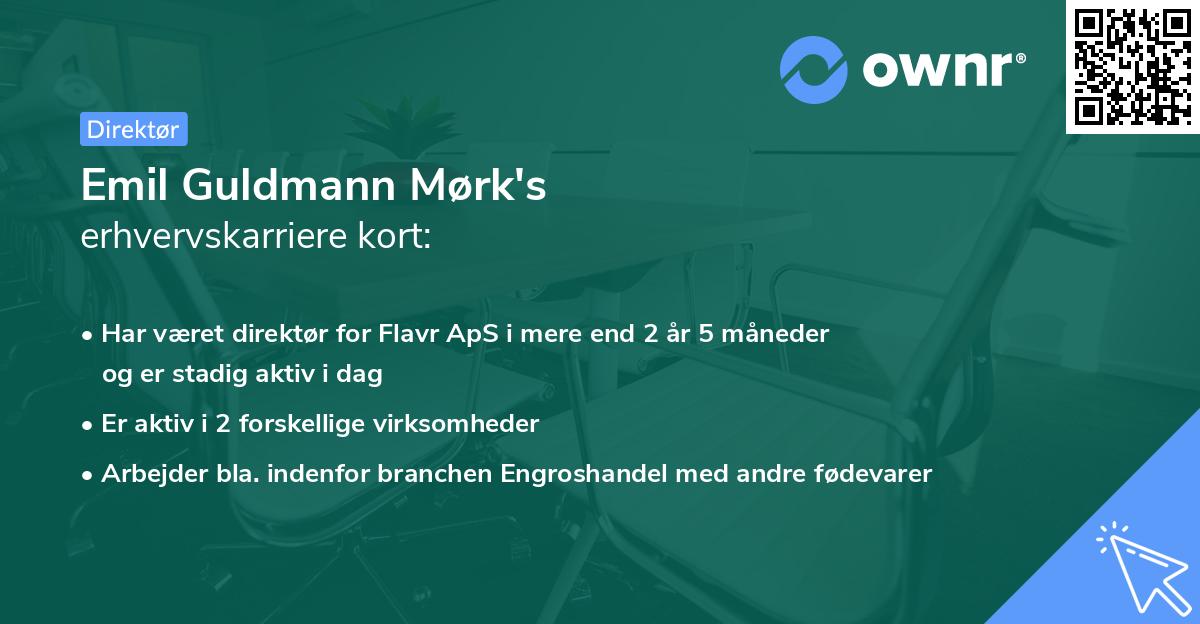Emil Guldmann Mørk's erhvervskarriere kort