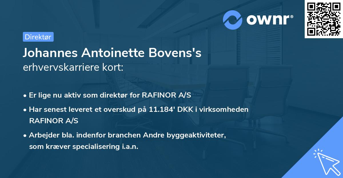 Johannes Antoinette Bovens's erhvervskarriere kort