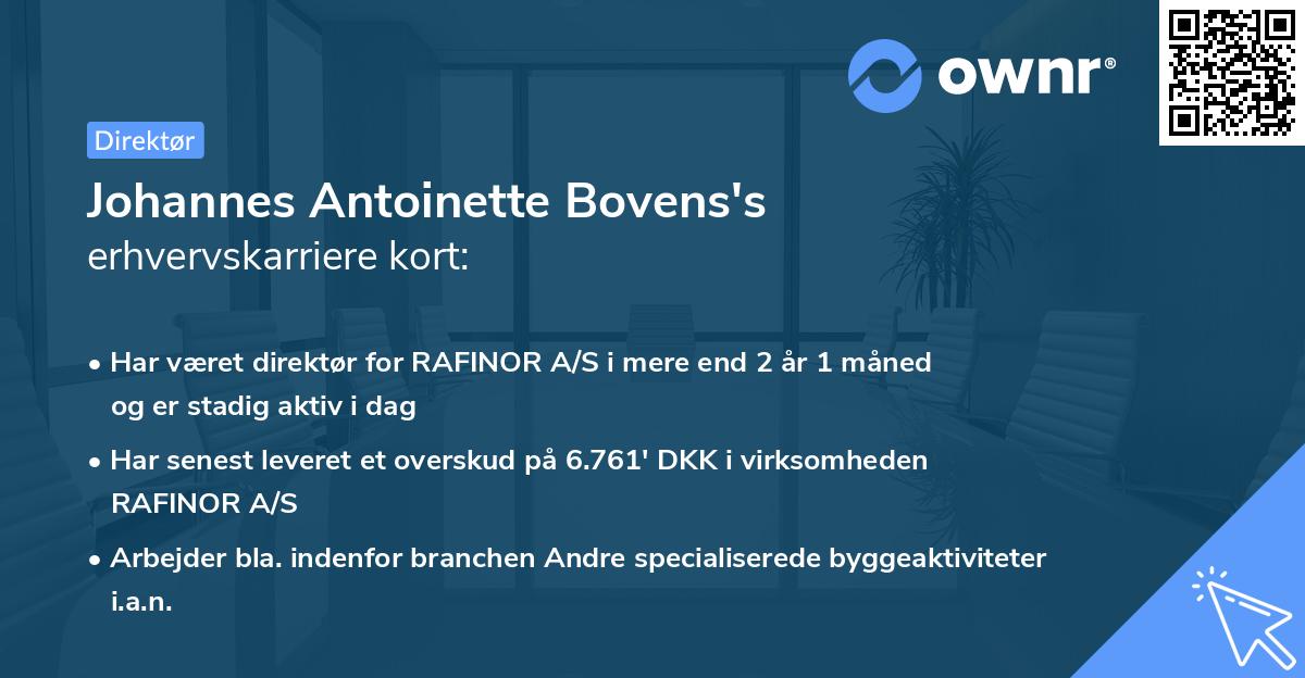 Johannes Antoinette Bovens's erhvervskarriere kort