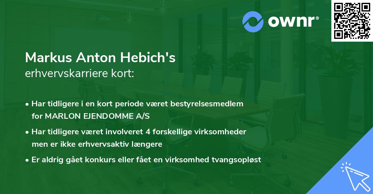 Markus Anton Hebich's erhvervskarriere kort