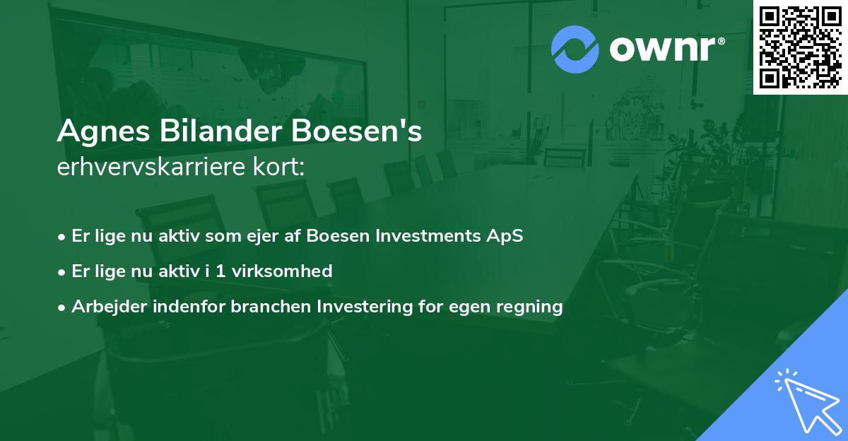 Agnes Bilander Boesen's erhvervskarriere kort