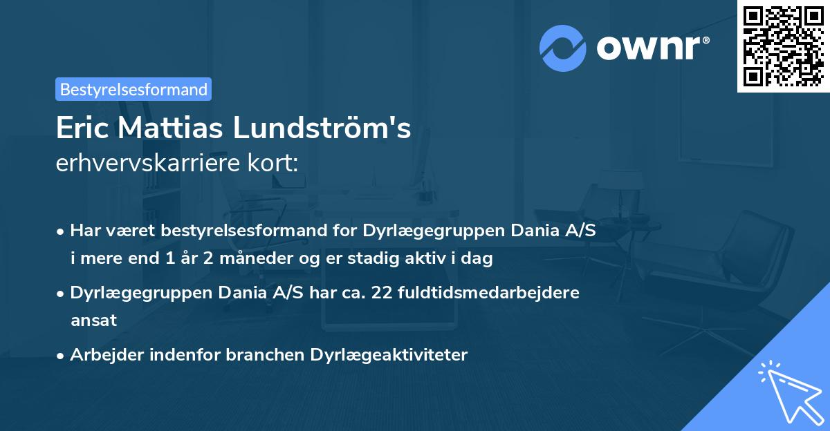 Eric Mattias Lundström's erhvervskarriere kort