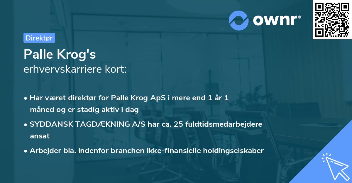 Palle Krog's erhvervskarriere kort