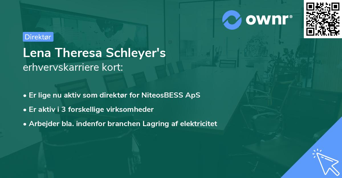 Lena Theresa Schleyer's erhvervskarriere kort