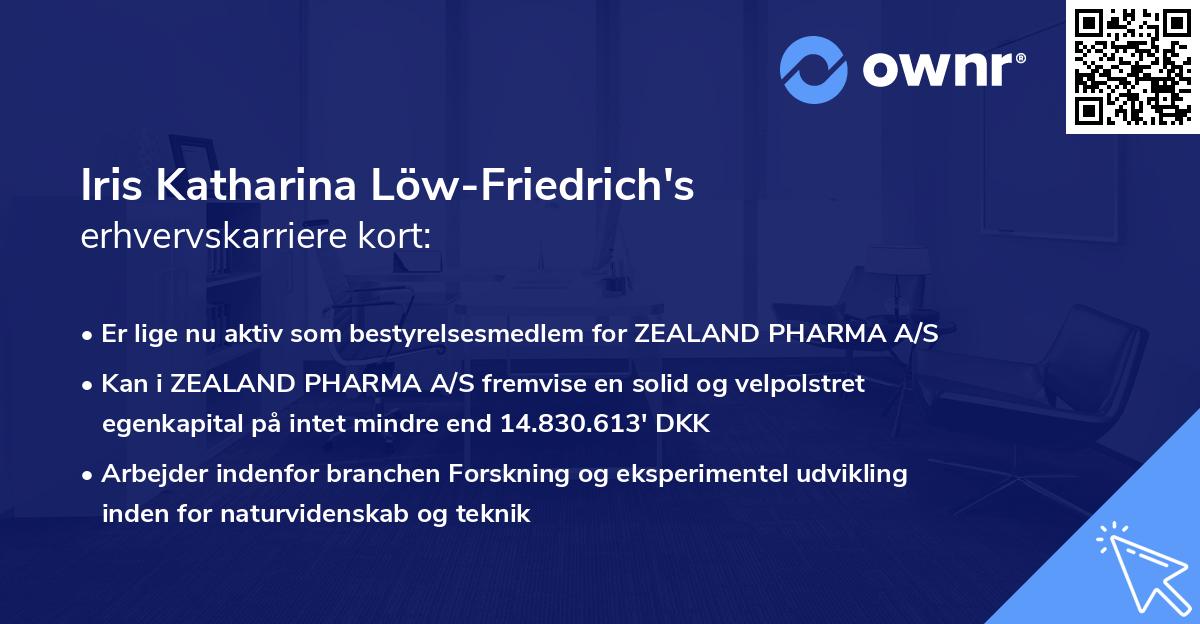 Iris Katharina Löw-Friedrich's erhvervskarriere kort