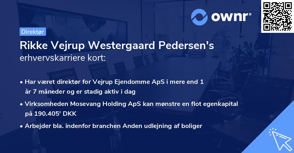 Rikke Vejrup Westergaard Pedersen's erhvervskarriere kort