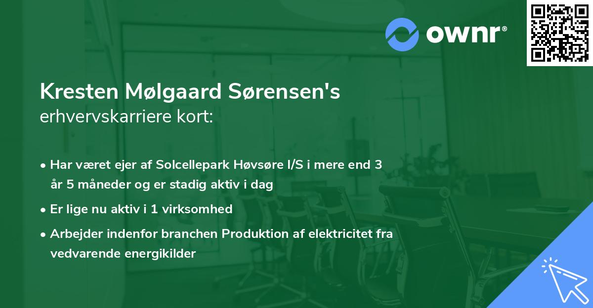 Kresten Mølgaard Sørensen's erhvervskarriere kort