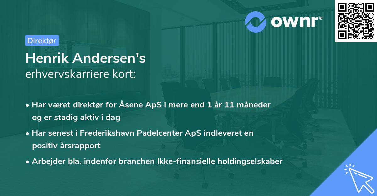 Henrik Andersen's erhvervskarriere kort
