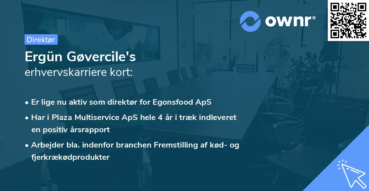 Ergün Gøvercile's erhvervskarriere kort