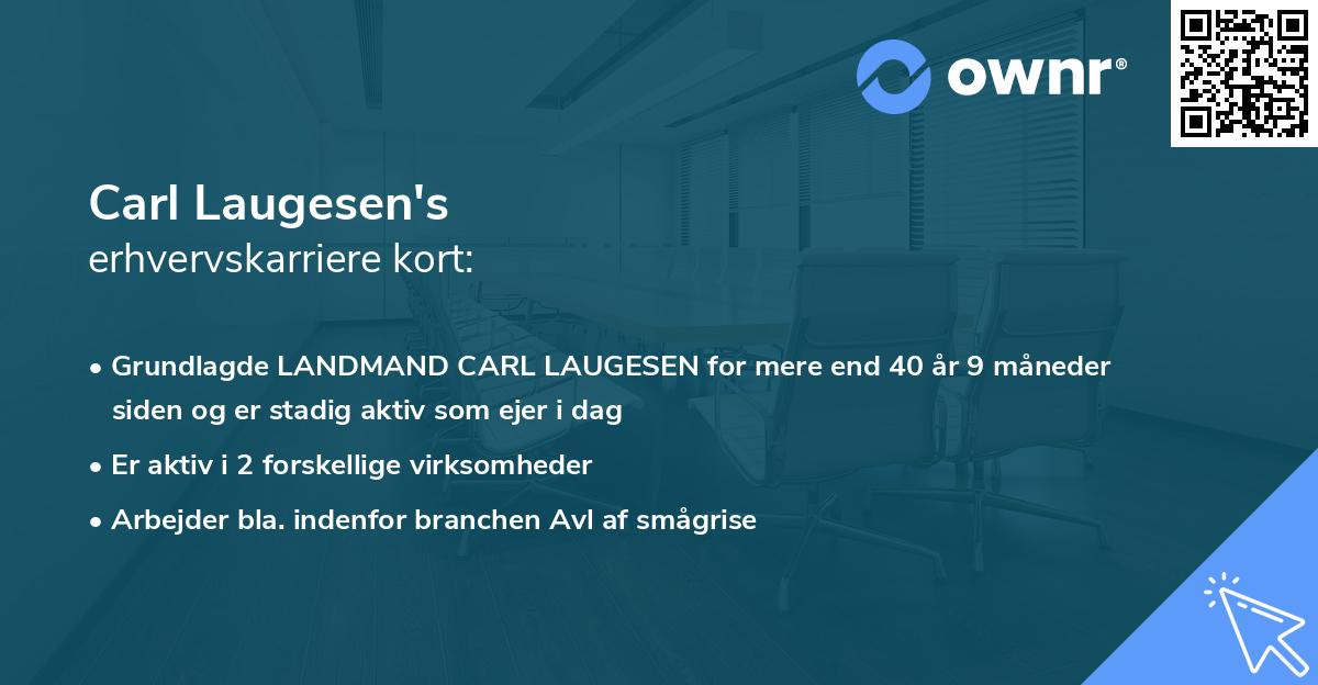 Carl Laugesen's erhvervskarriere kort