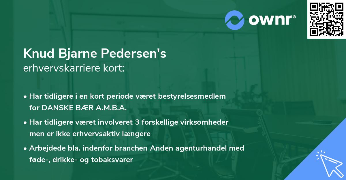 Knud Bjarne Pedersen's erhvervskarriere kort