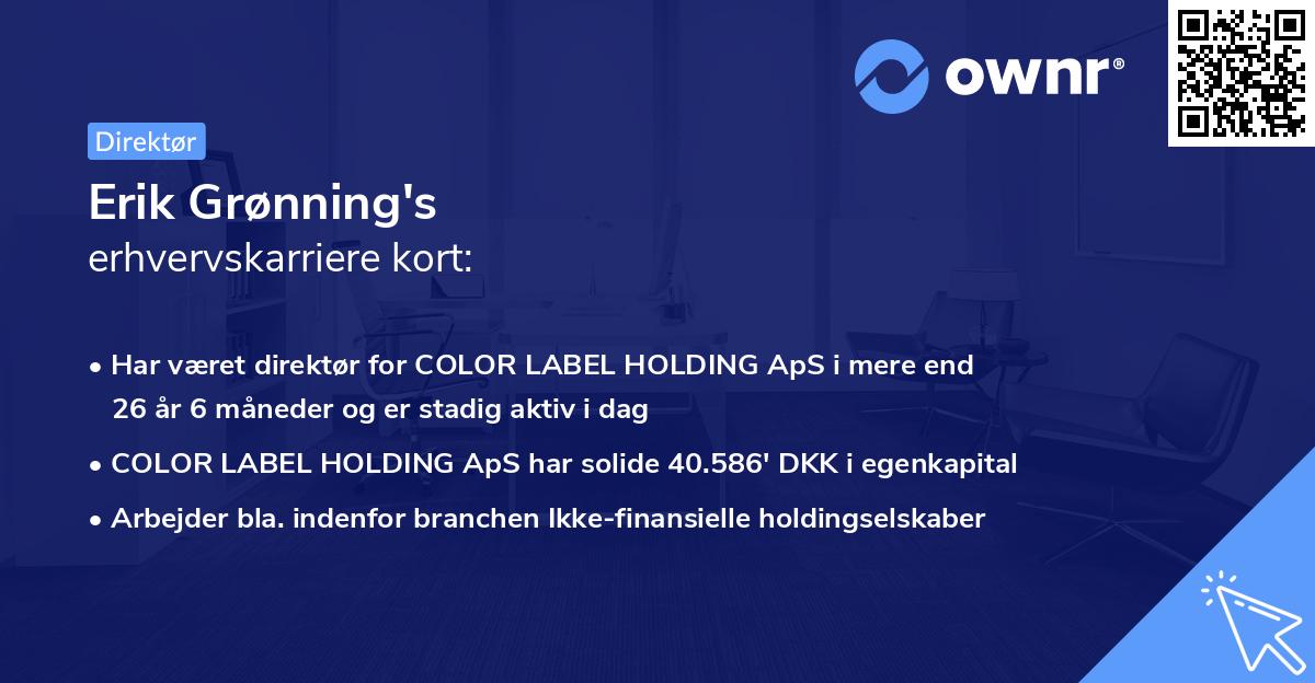 Erik Grønning's erhvervskarriere kort