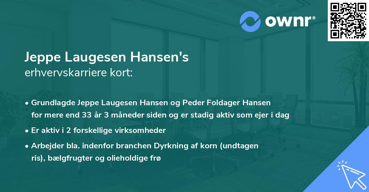 Jeppe Laugesen Hansen's erhvervskarriere kort