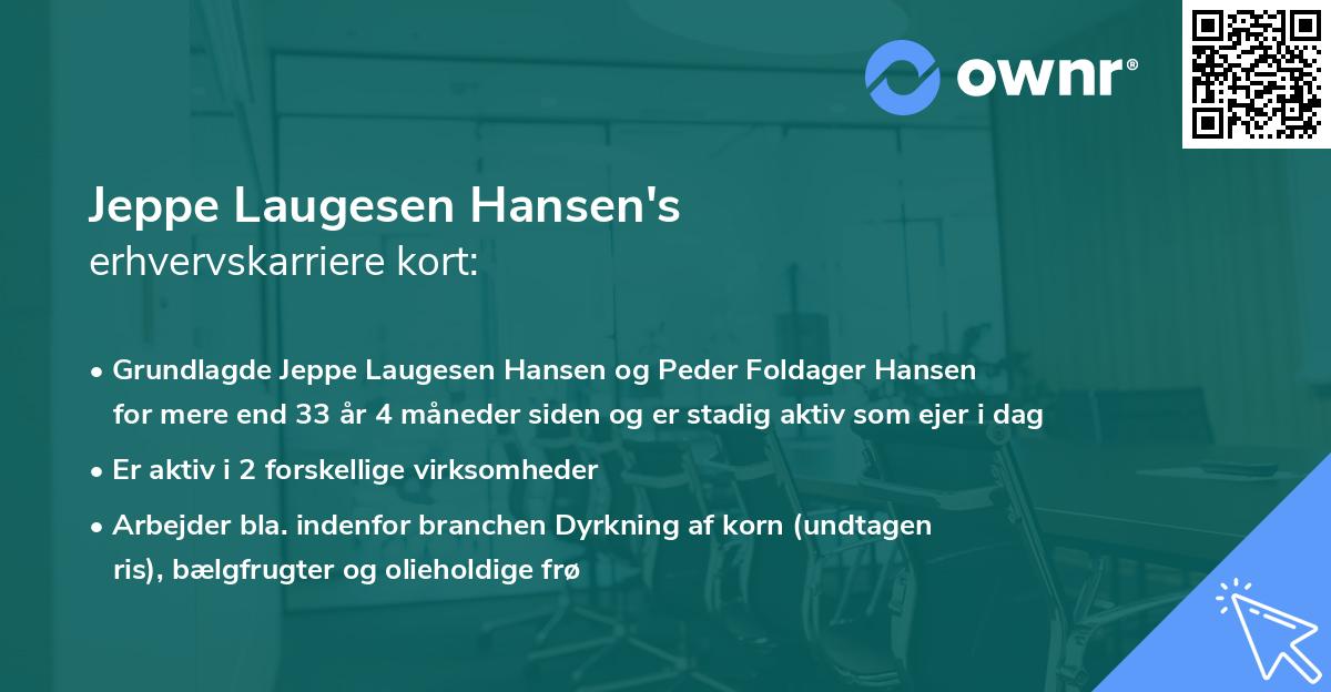 Jeppe Laugesen Hansen's erhvervskarriere kort