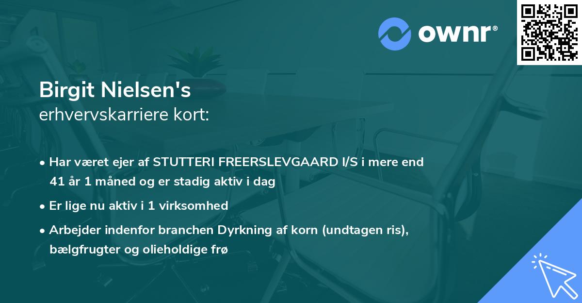 Birgit Nielsen's erhvervskarriere kort
