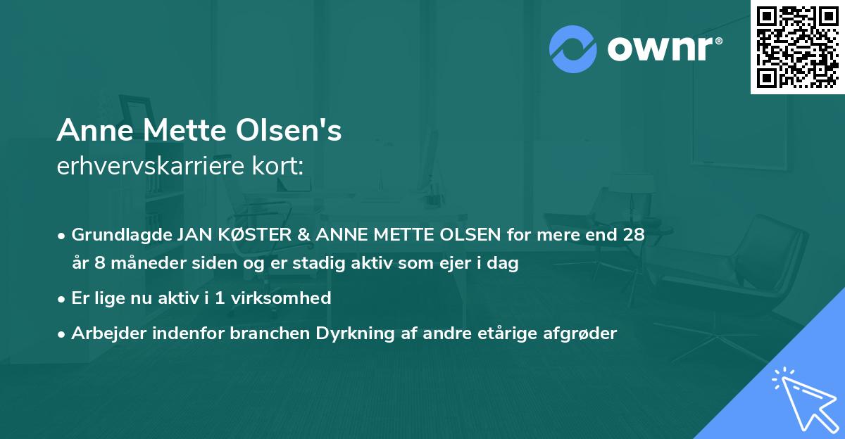 Anne Mette Olsen's erhvervskarriere kort