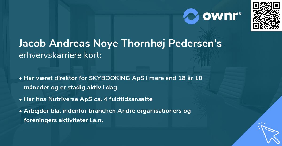 Jacob Andreas Noye Thornhøj Pedersen's erhvervskarriere kort