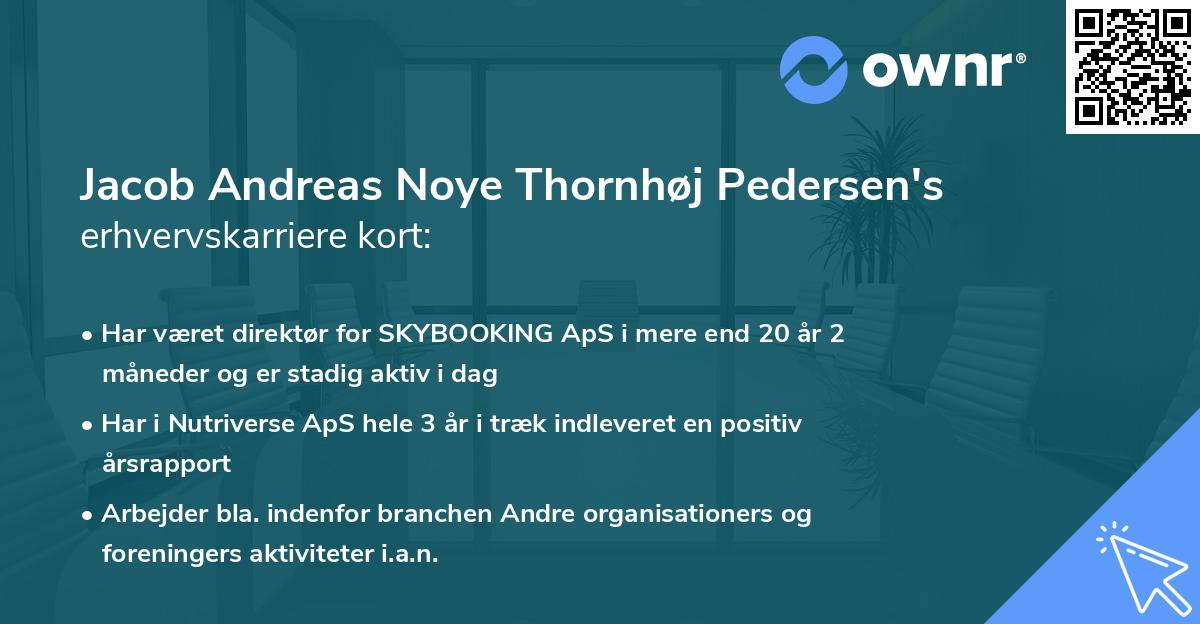 Jacob Andreas Noye Thornhøj Pedersen's erhvervskarriere kort