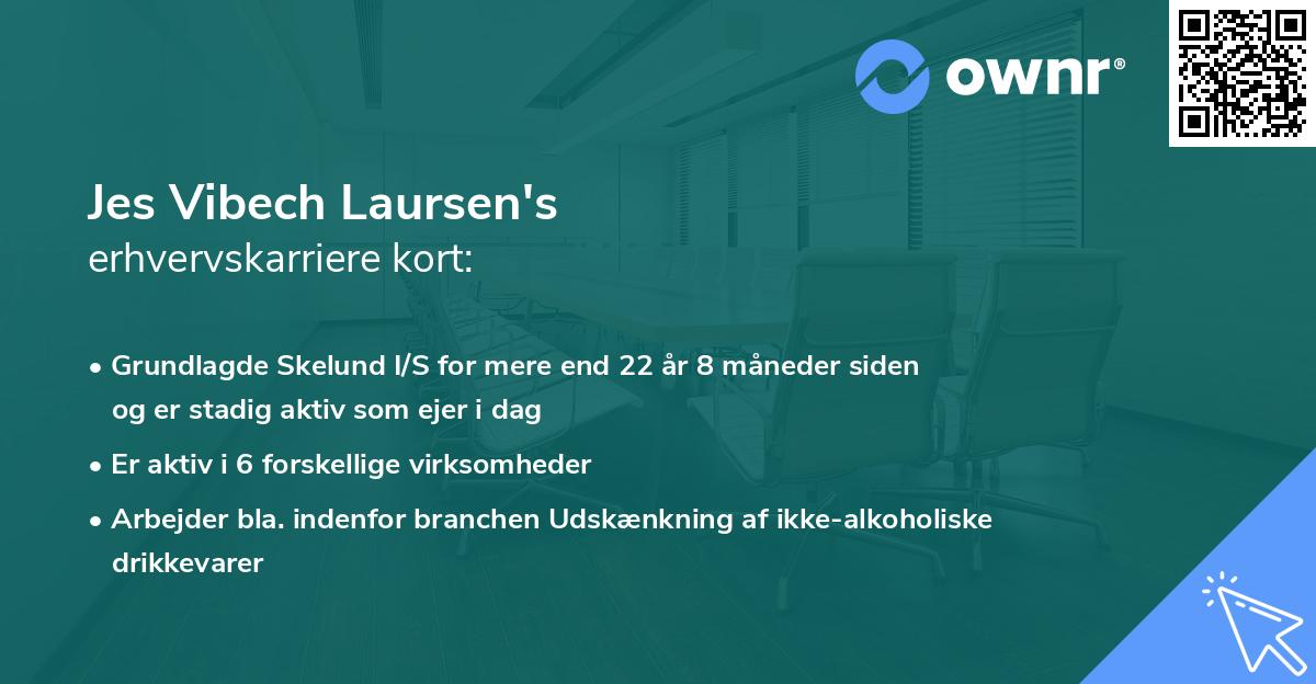 Jes Vibech Laursen's erhvervskarriere kort