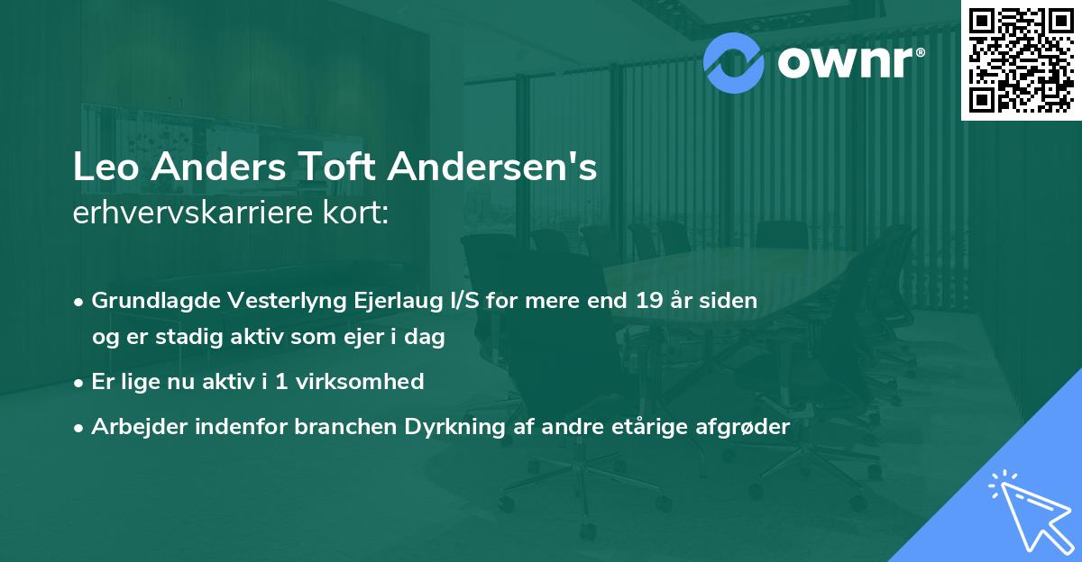 Leo Anders Toft Andersen's erhvervskarriere kort