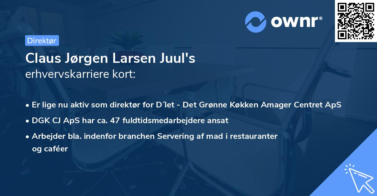 Claus Jørgen Larsen Juul's erhvervskarriere kort