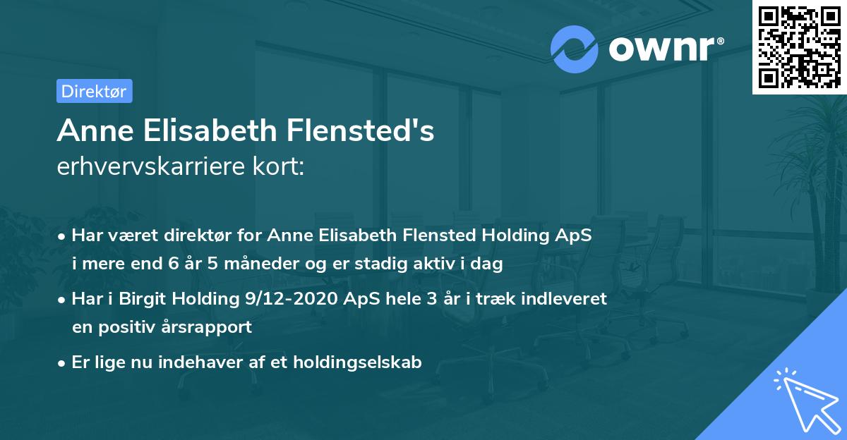 Anne Elisabeth Flensted's erhvervskarriere kort