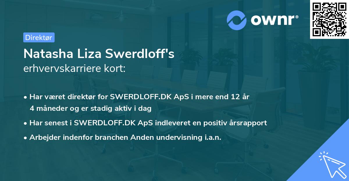 Natasha Liza Swerdloff's erhvervskarriere kort