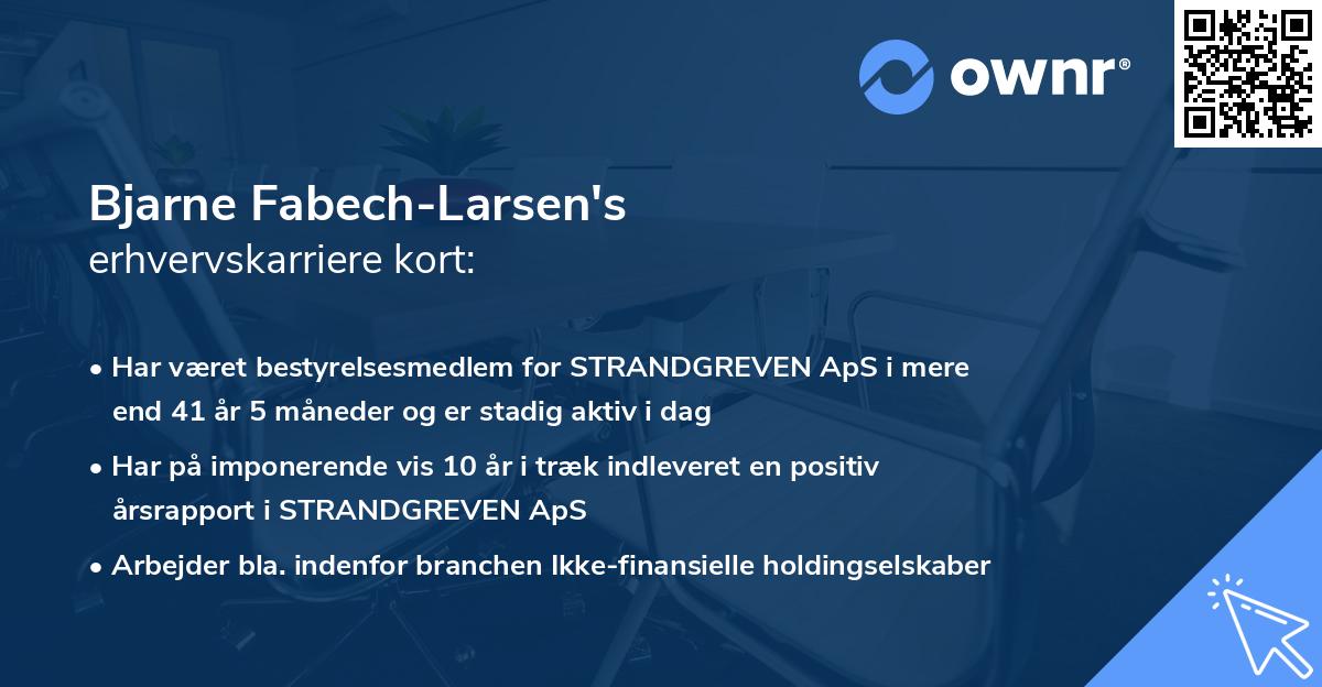 Bjarne Fabech-Larsen's erhvervskarriere kort