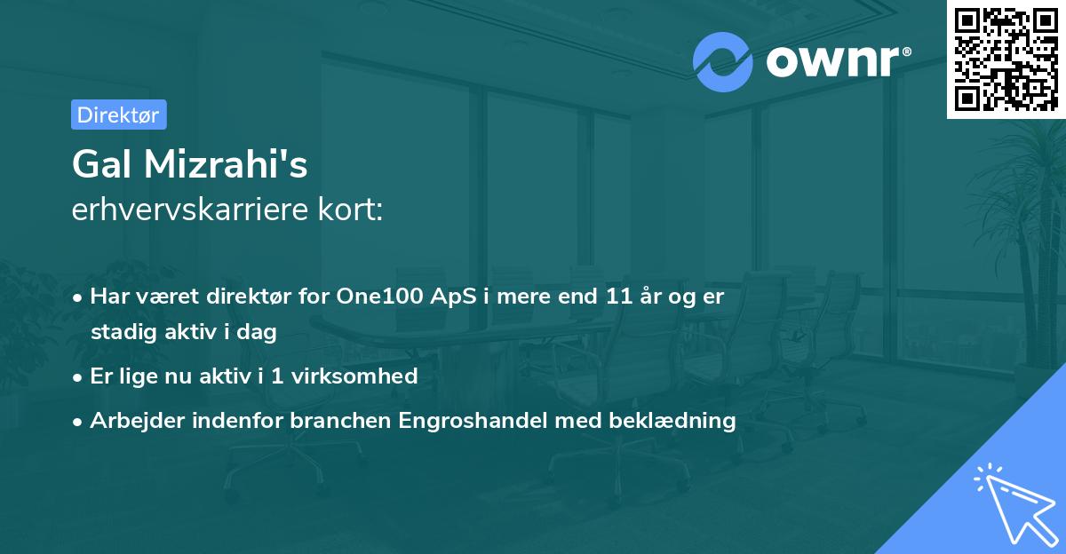 Gal Mizrahi's erhvervskarriere kort