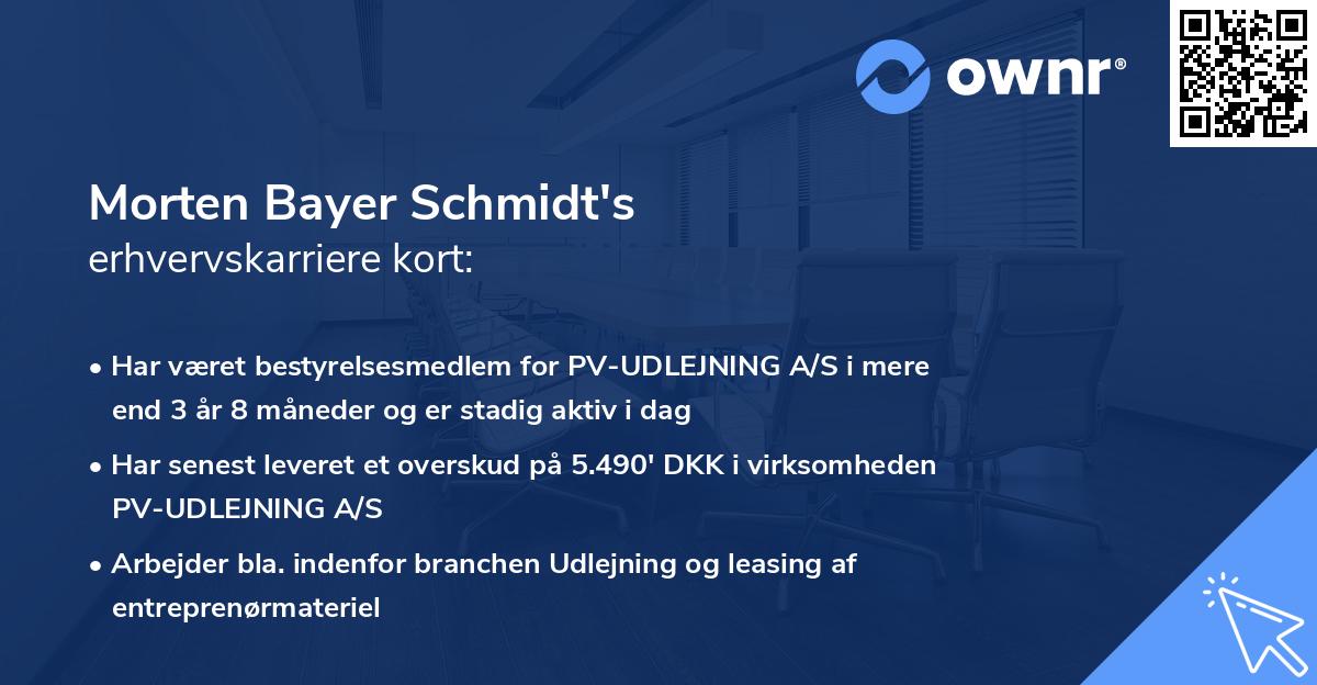 Morten Bayer Schmidt's erhvervskarriere kort