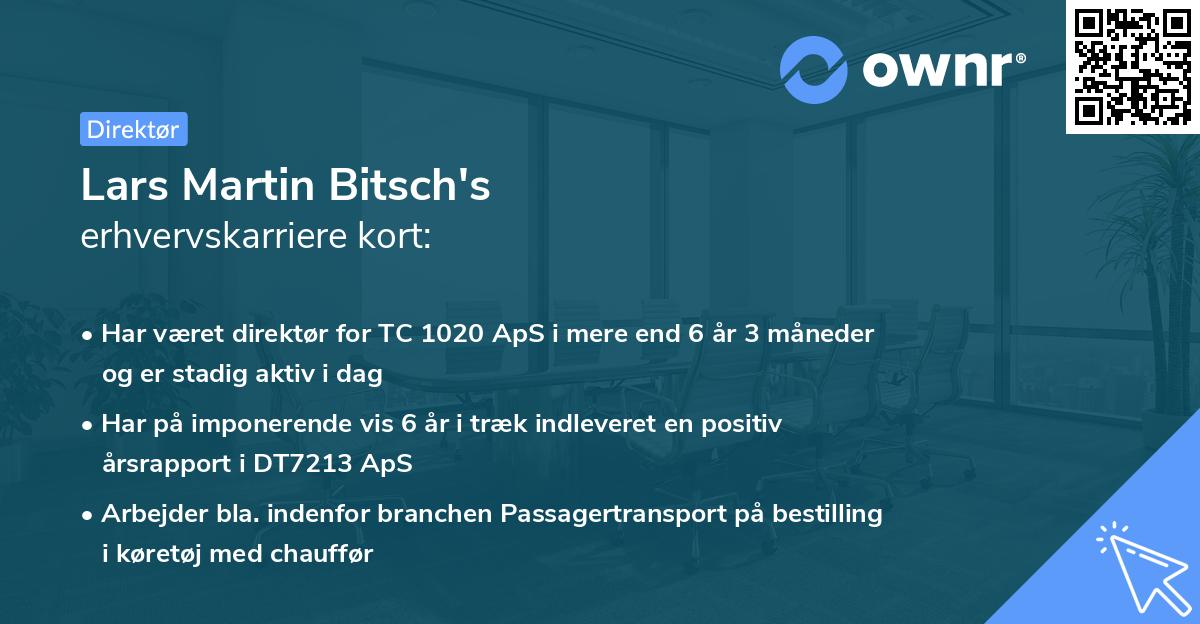 Lars Martin Bitsch's erhvervskarriere kort