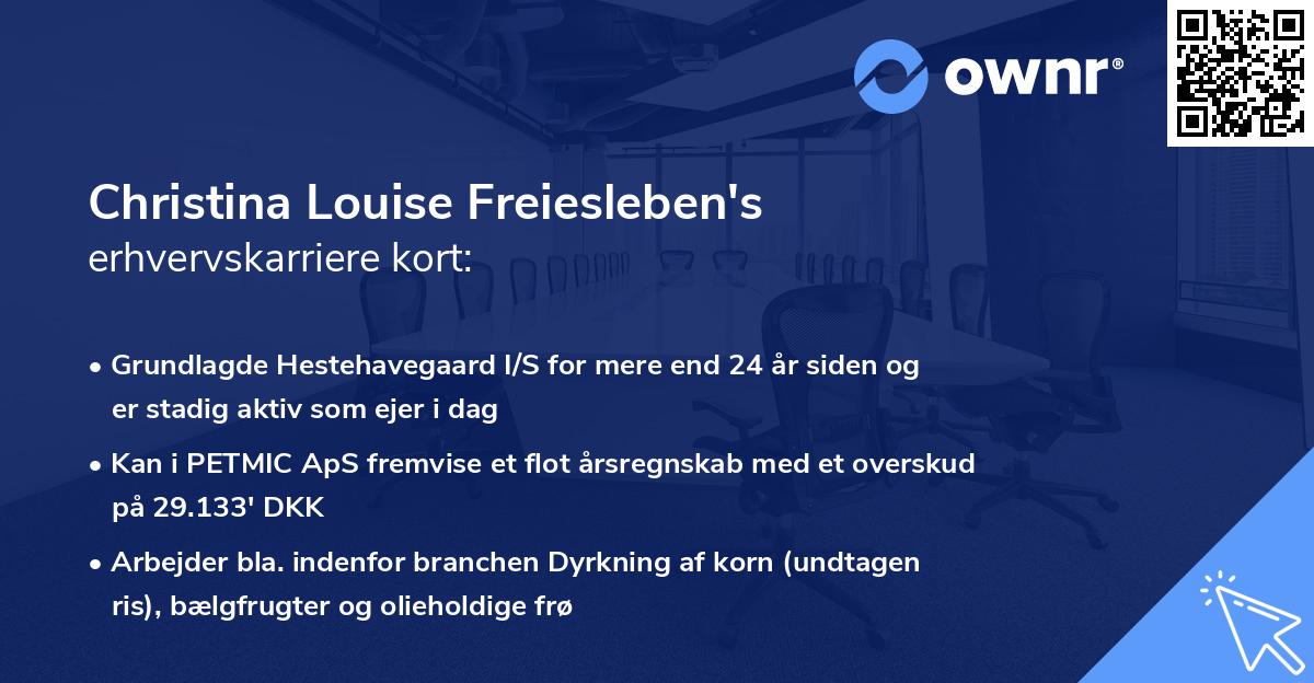 Christina Louise Freiesleben's erhvervskarriere kort