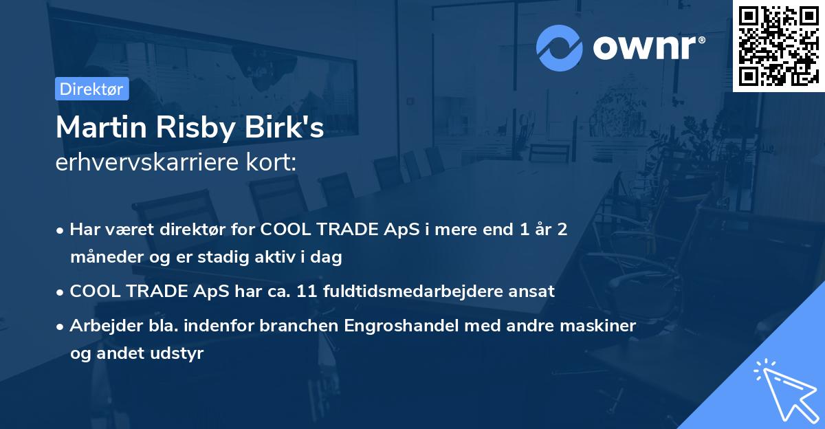 Martin Risby Birk's erhvervskarriere kort