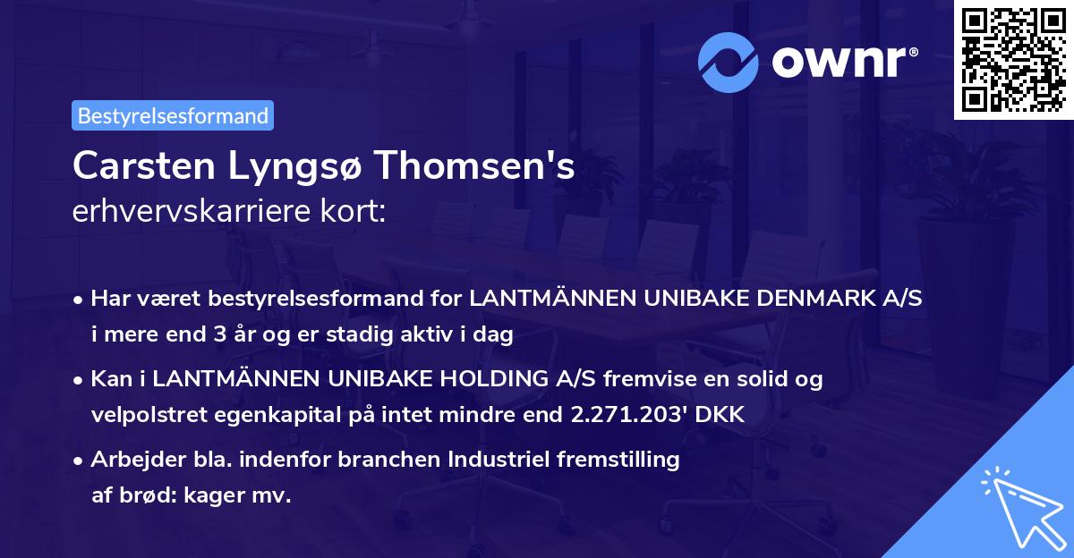 Carsten Lyngsø Thomsen's erhvervskarriere kort