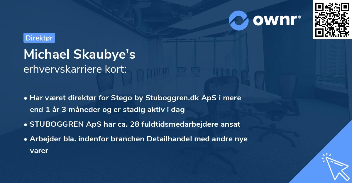 Michael Skaubye's erhvervskarriere kort