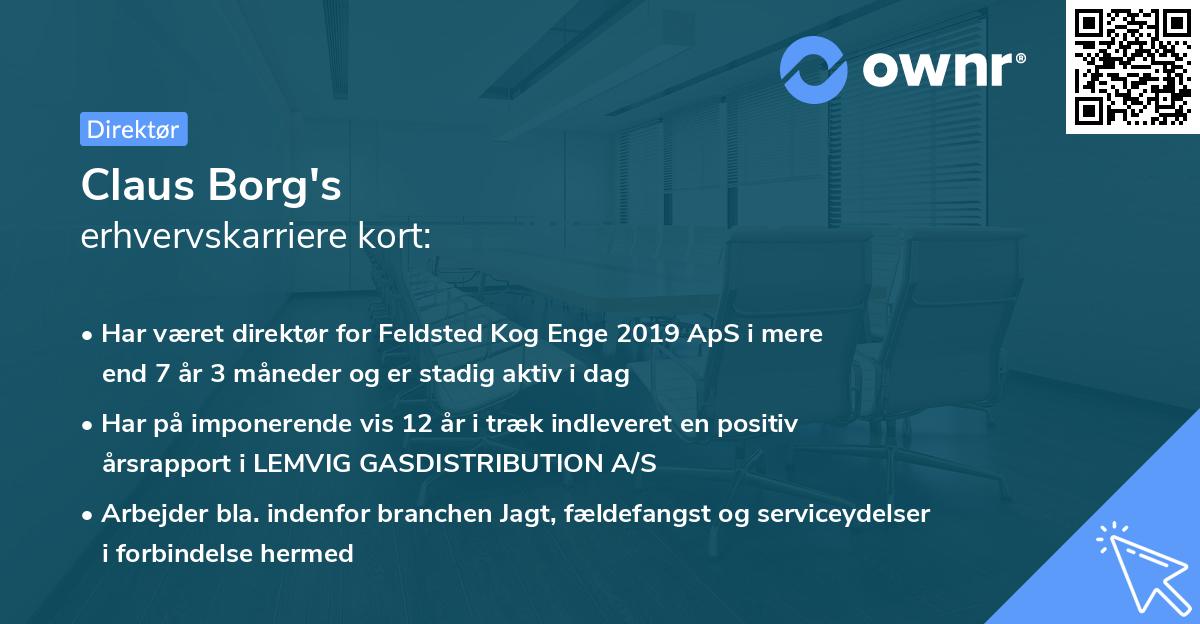Claus Borg's erhvervskarriere kort