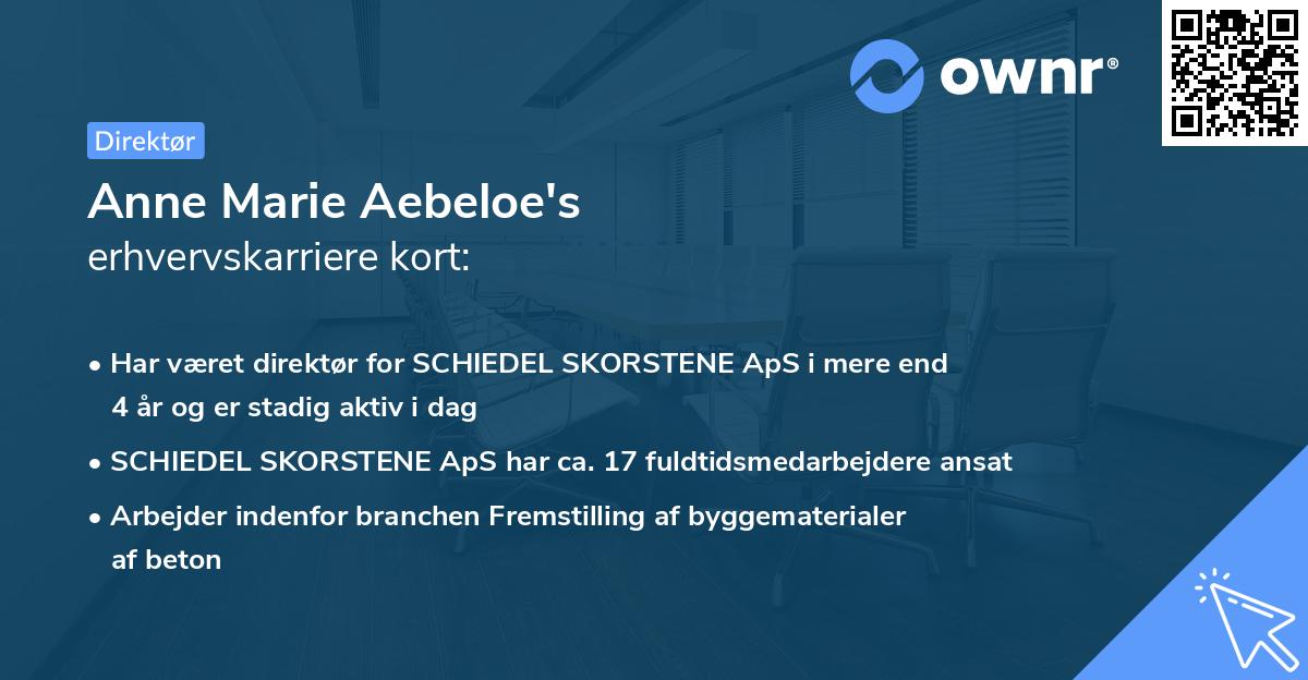 Anne Marie Aebeloe's erhvervskarriere kort