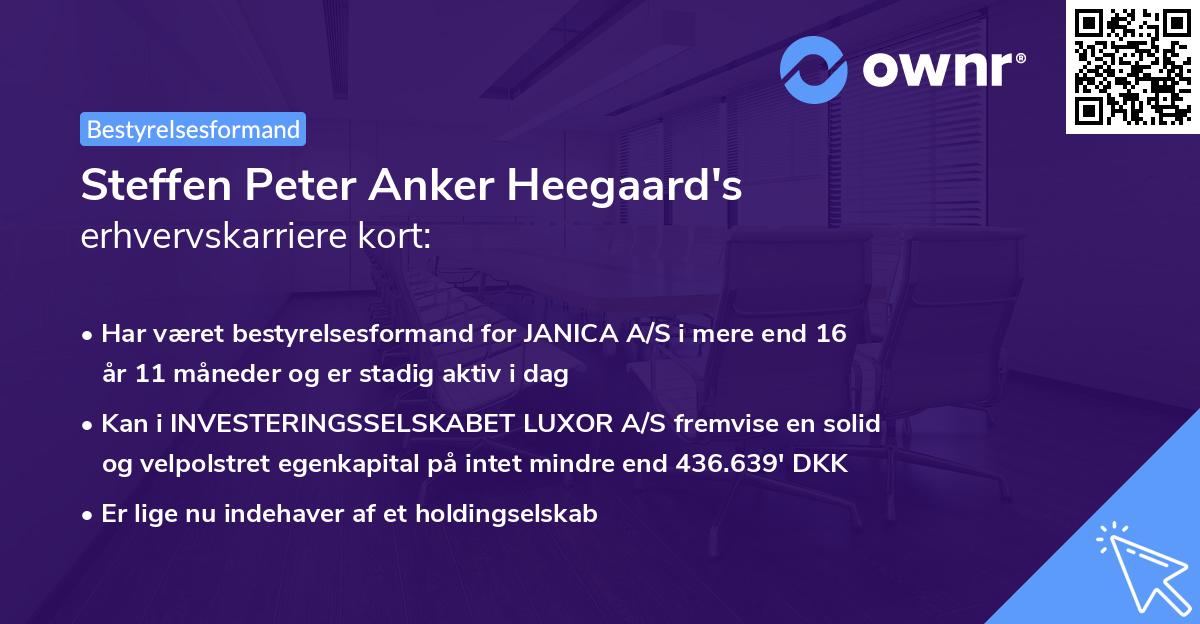 Steffen Peter Anker Heegaard's erhvervskarriere kort