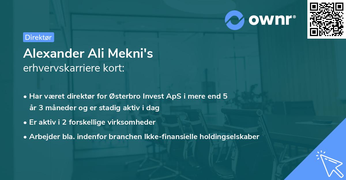 Alexander Ali Mekni's erhvervskarriere kort