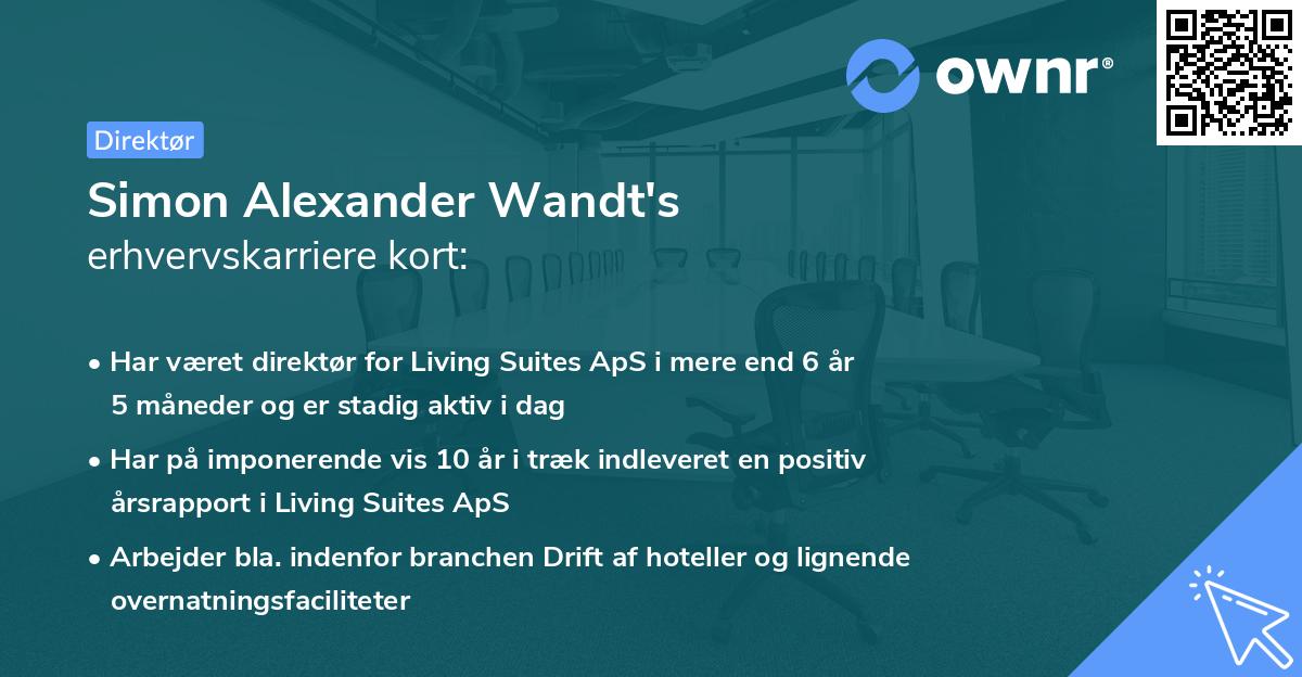 Simon Alexander Wandt's erhvervskarriere kort